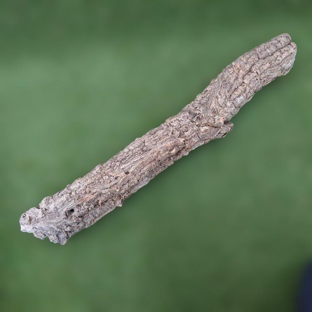 コルク樹皮　ポルトガル産　 筒状　約80cmｘ約9cm　爬虫類　シェルター