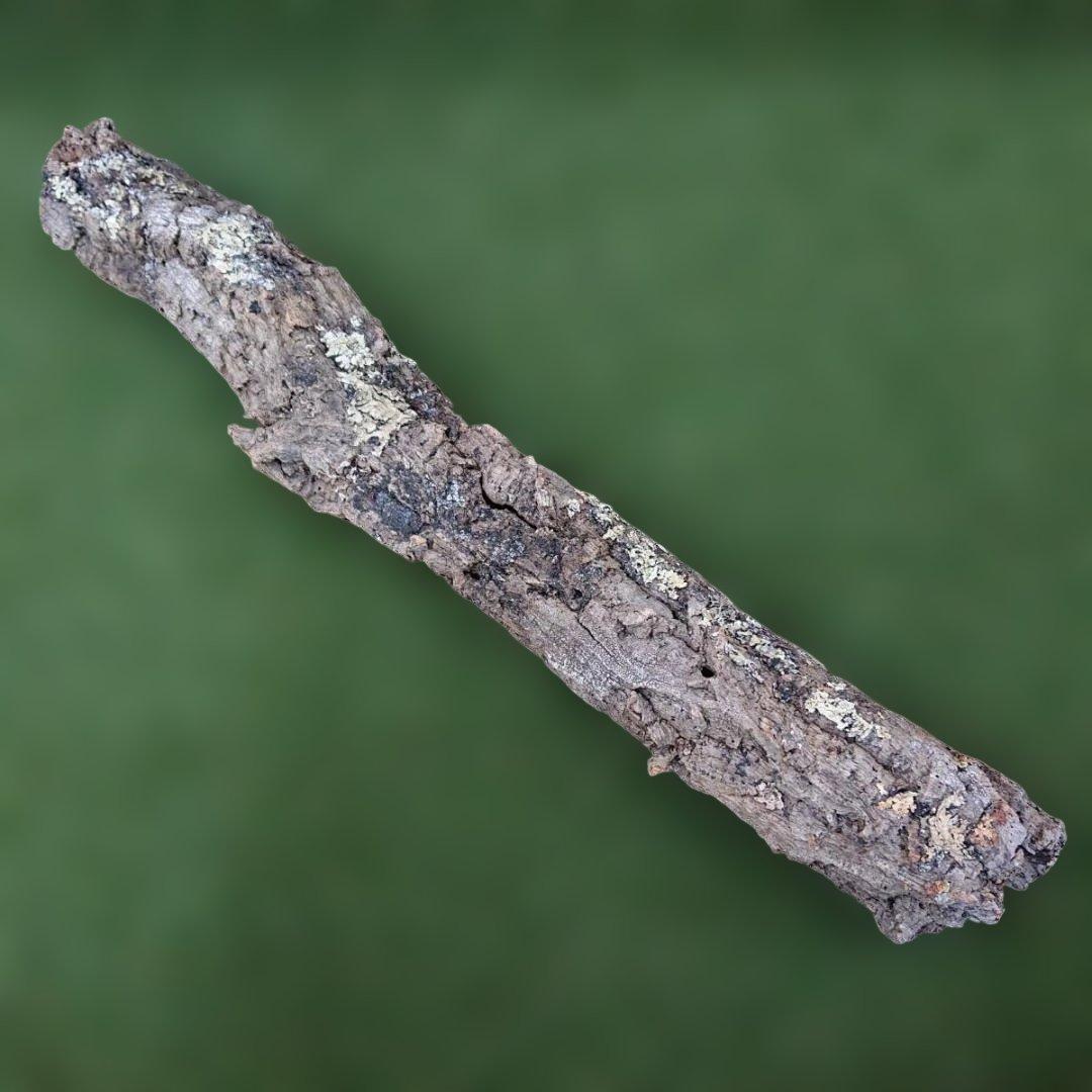 コルク樹皮　ポルトガル産　 筒状　約80cmｘ約9cm　爬虫類　シェルター
