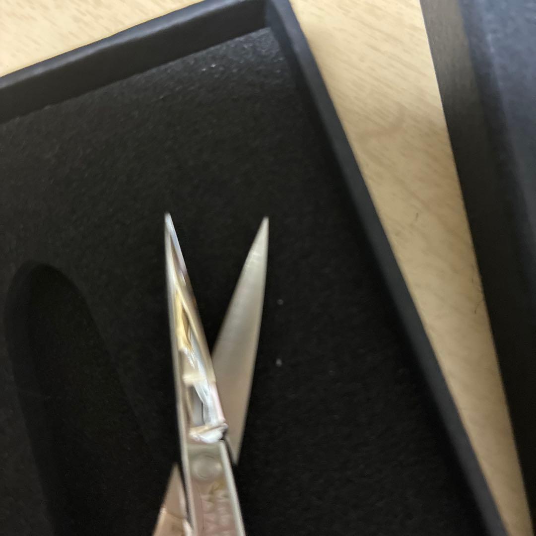 蒼山日菜　切り絵用はさみ
