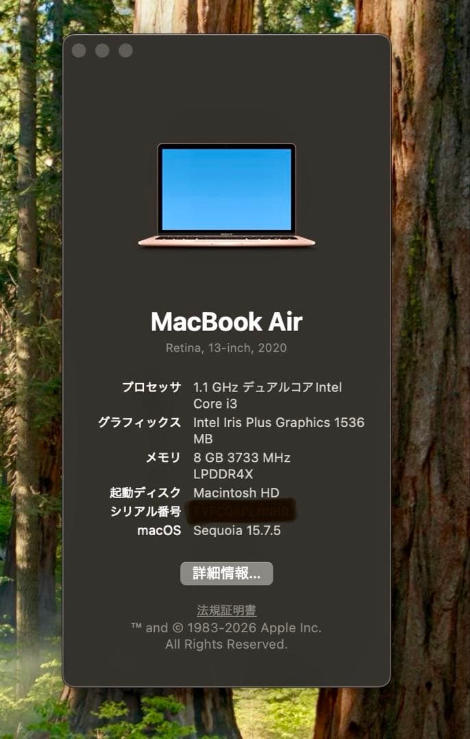 美品 MacBook Air 2020 Office付 / Windows11