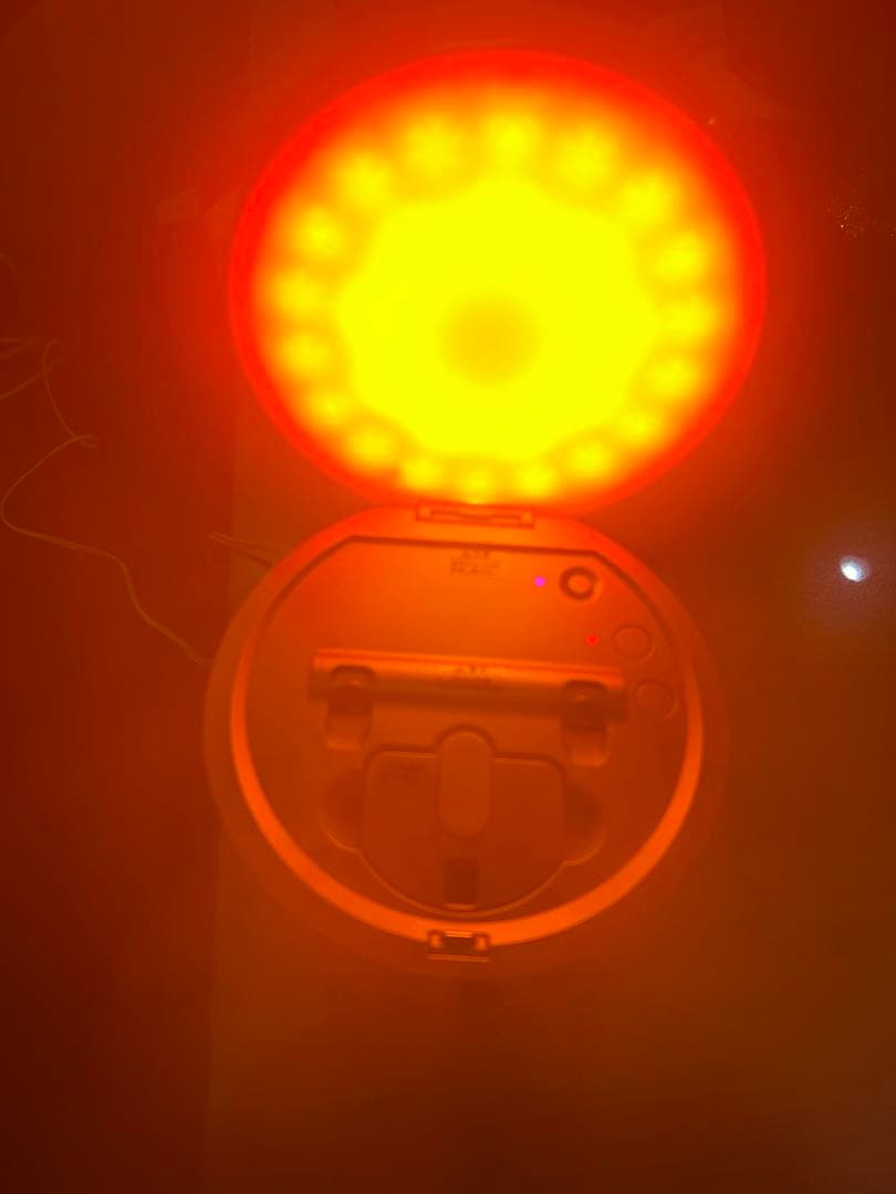 YA-MAN フォトスチーマー IS-100P