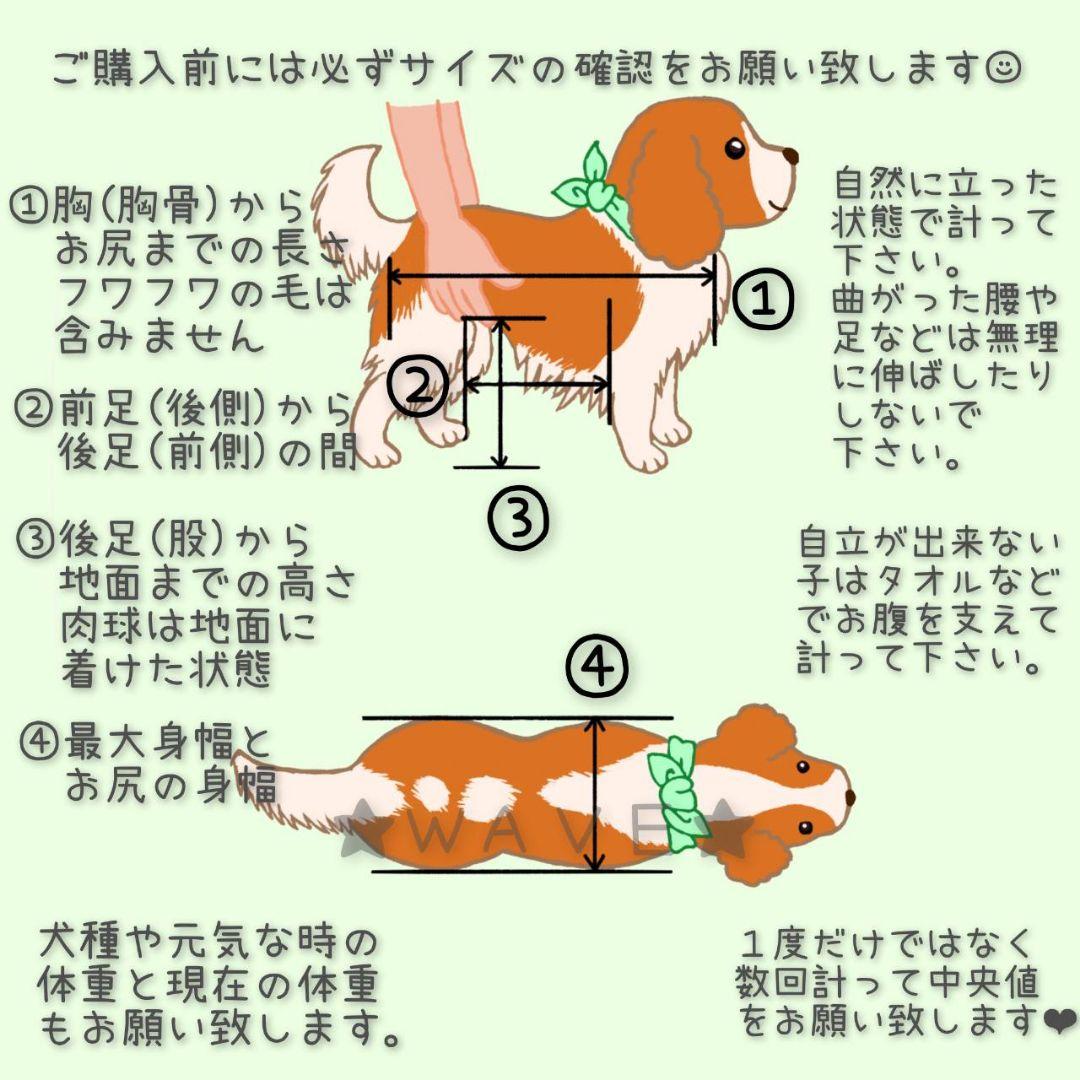 ぷれおん　犬用車椅子　犬の歩行器　トイプー　歩行補助　犬の車いす　シニア犬
