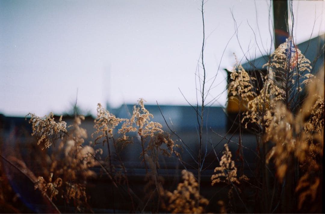 MINOLTA α-9、AF 50mm F1.4、ストロボ、ストラップほか