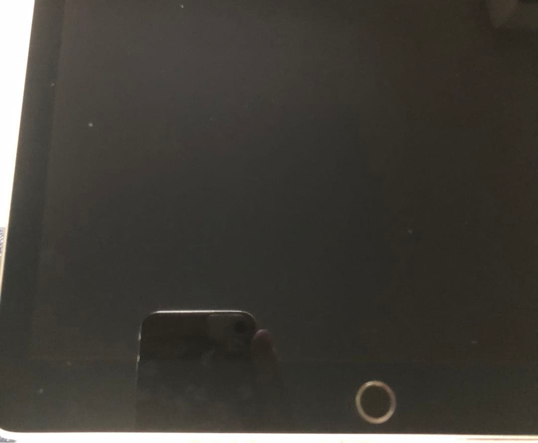 【完動品】iPad Pro 12.9 第2世代 64GB SIMフリー 【発送】
