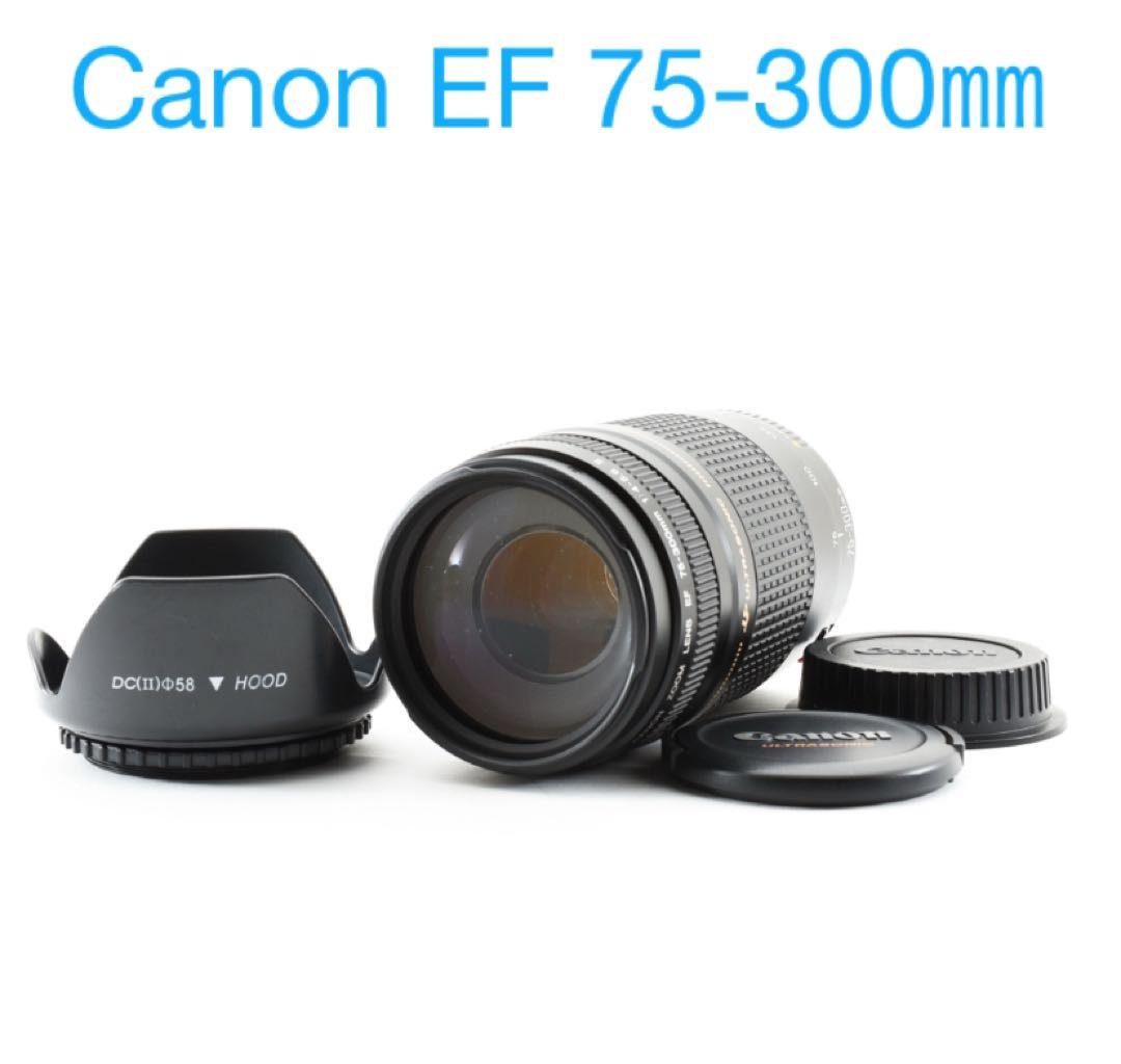 Canon EF 75-300㎜ F4-5.6 ll USM フルサイズ対応