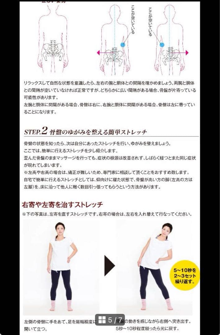 正規品 マホガニー材 骨盤職人 ペルビス PV01 収納袋付き 骨盤 姿勢矯正