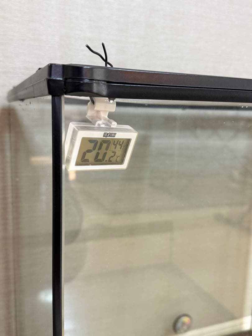 GEX 爬虫類ケージ スターターセット カメレオン フトアゴ 爬虫類