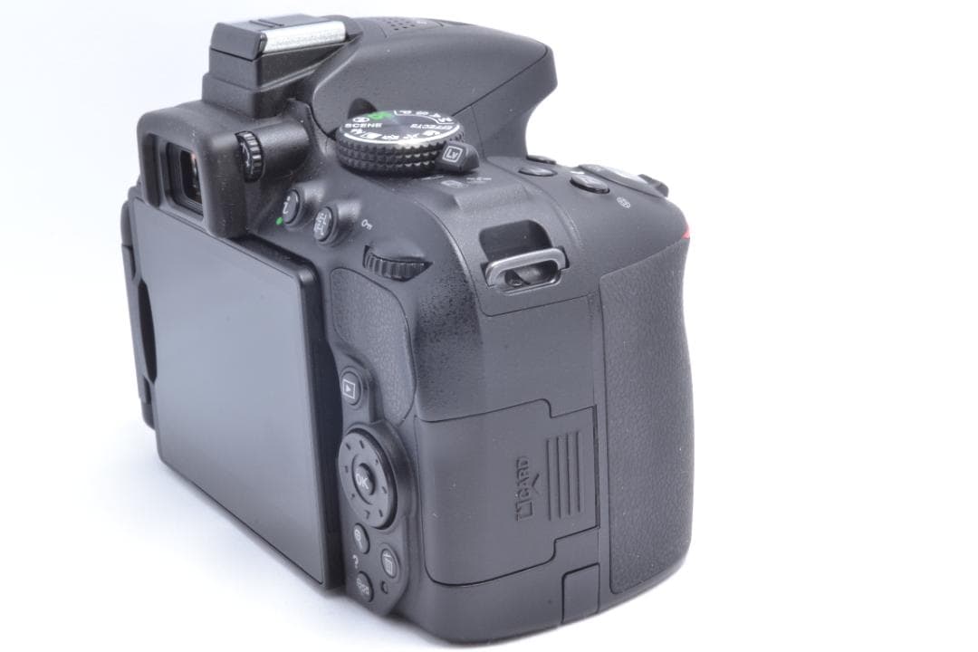 美品✨Nikon D5300✨高性能レンズ✨Wi-Fi搭載✨初心者おすすめ✨