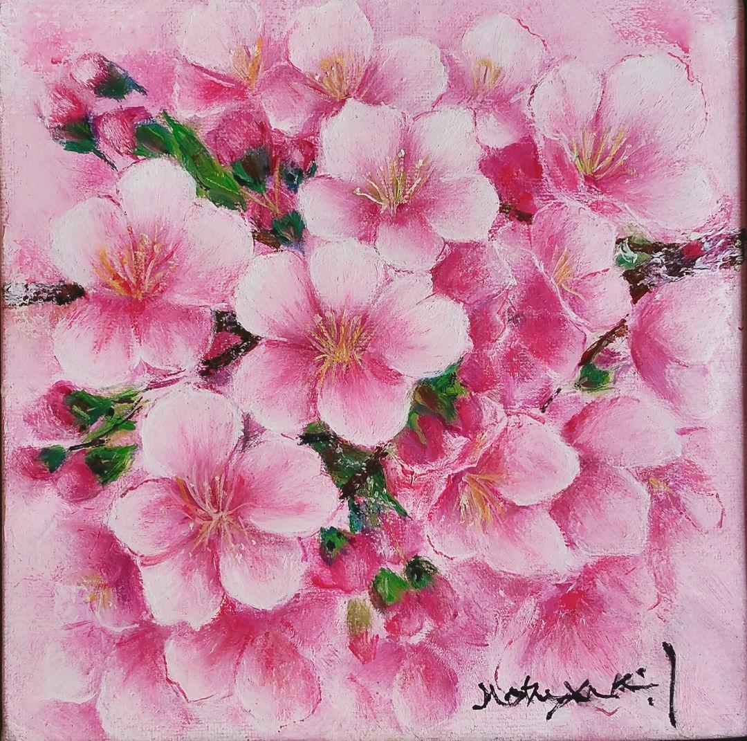 油絵　桜　洋画家　池畠 史幸 新作真筆