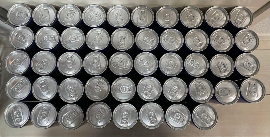 レッドブル　エナジードリンク　250ml 48本セット