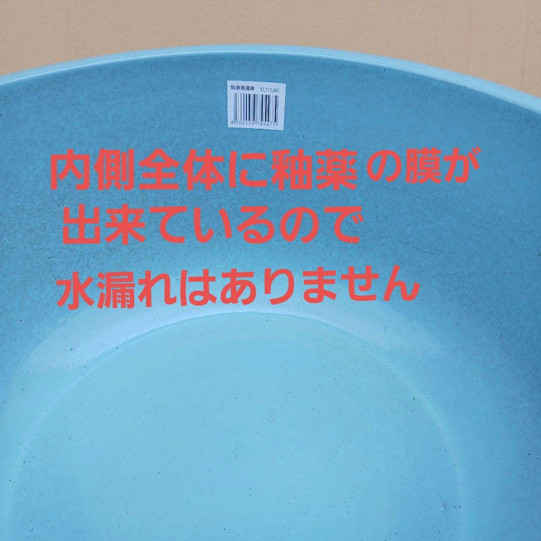 新品　特大52x49　陶器　睡蓮鉢　難有　メダカ鉢　水色　ブルー　ルーバーLWC