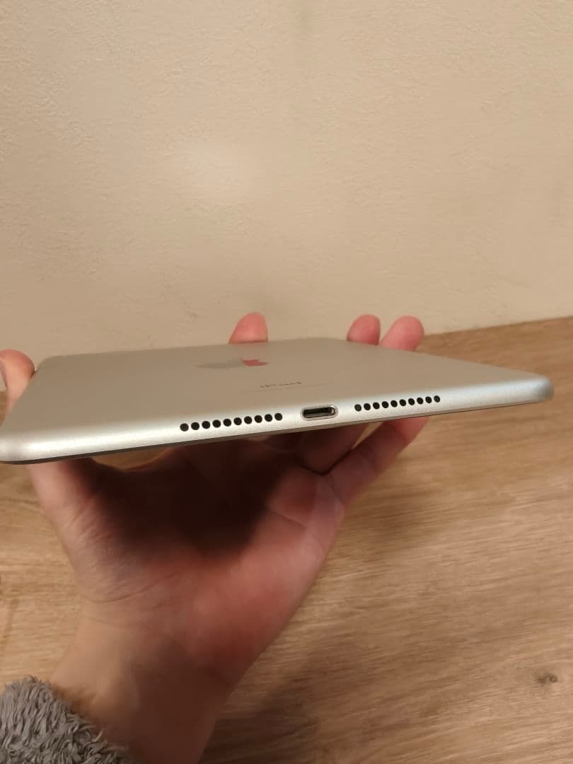 iPad mini (第5世代) Wi-fi+Cellular 256GB