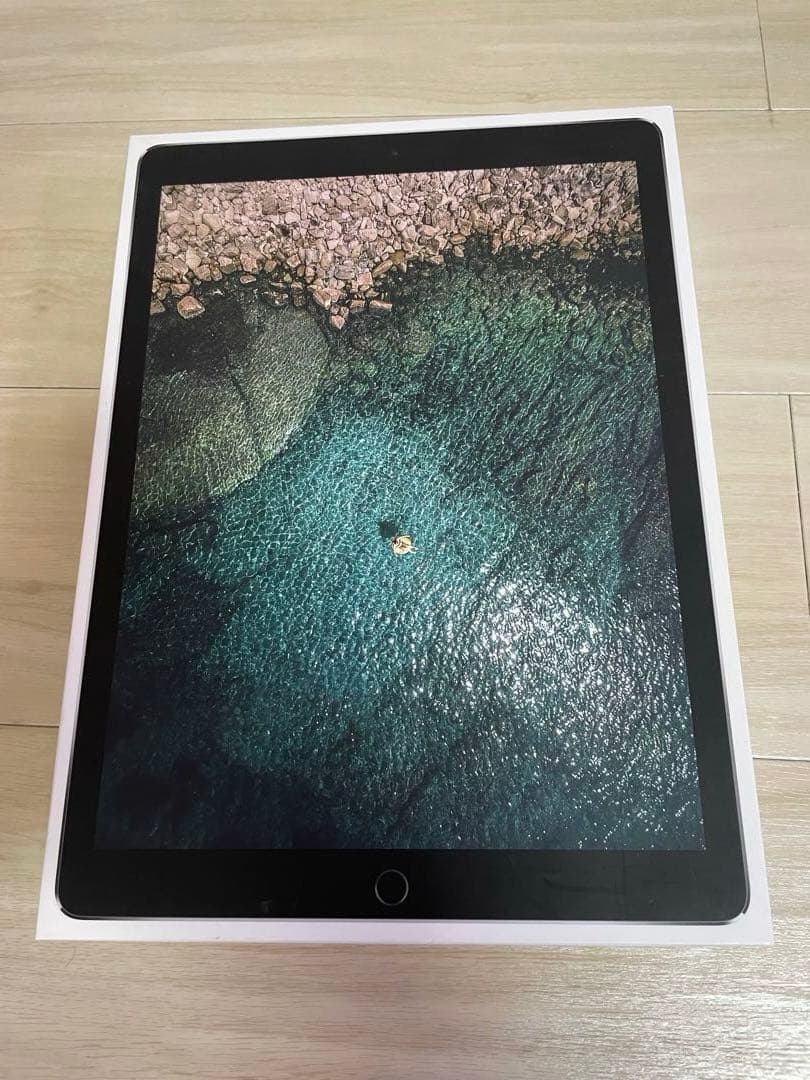 【おまけ付】iPad Pro 12.9 256gb 2017 第２世代Wi-Fi