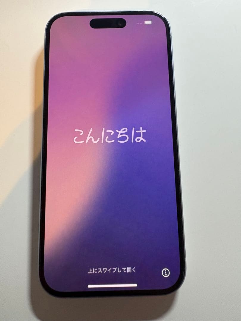 【海外版 無音カメラ】【訳あり】Apple iPhone15 128GB 付属品