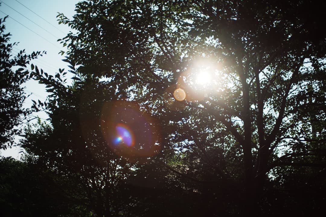 【希少Ai改】Nikon Nikkor-o Auto 35mm F2 194
