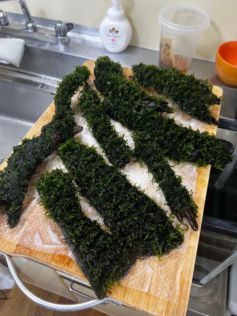 流木モス30日歳　沈む流木