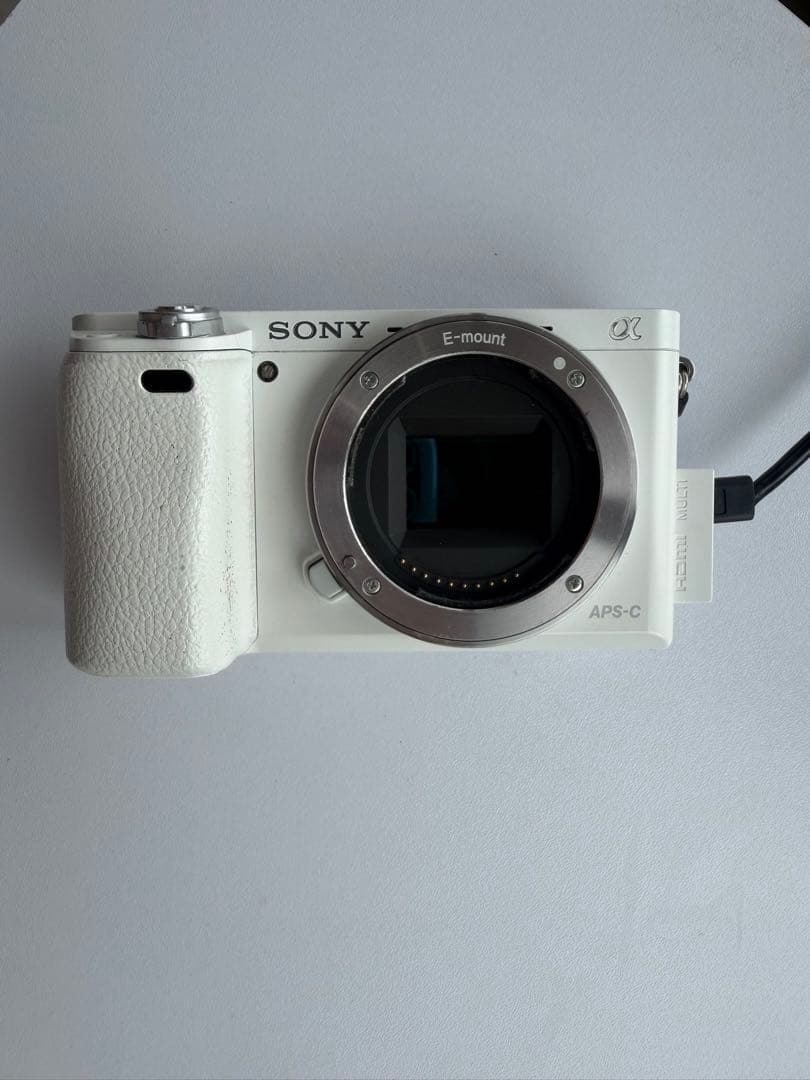SONY E-mount APS-C ミラーレスカメラ ボディのみ