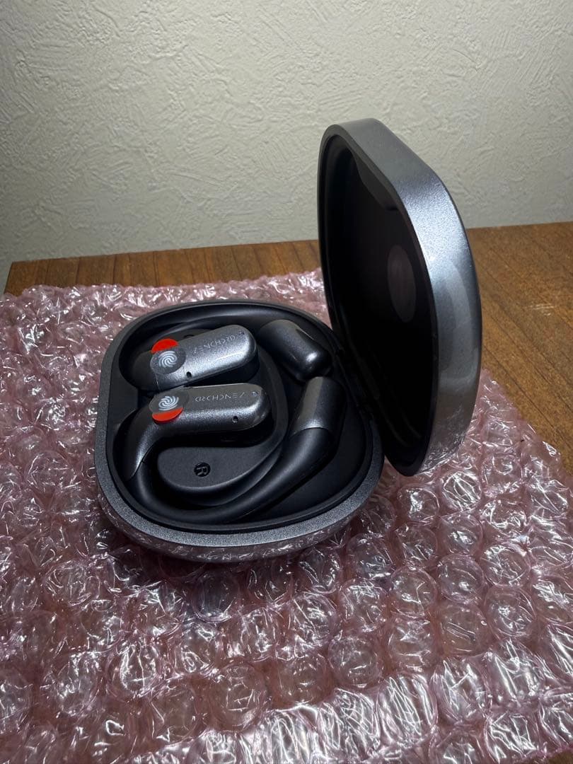 Zenchord ゼンコード AIボイスレコーダー搭載イヤホン動作確認OK