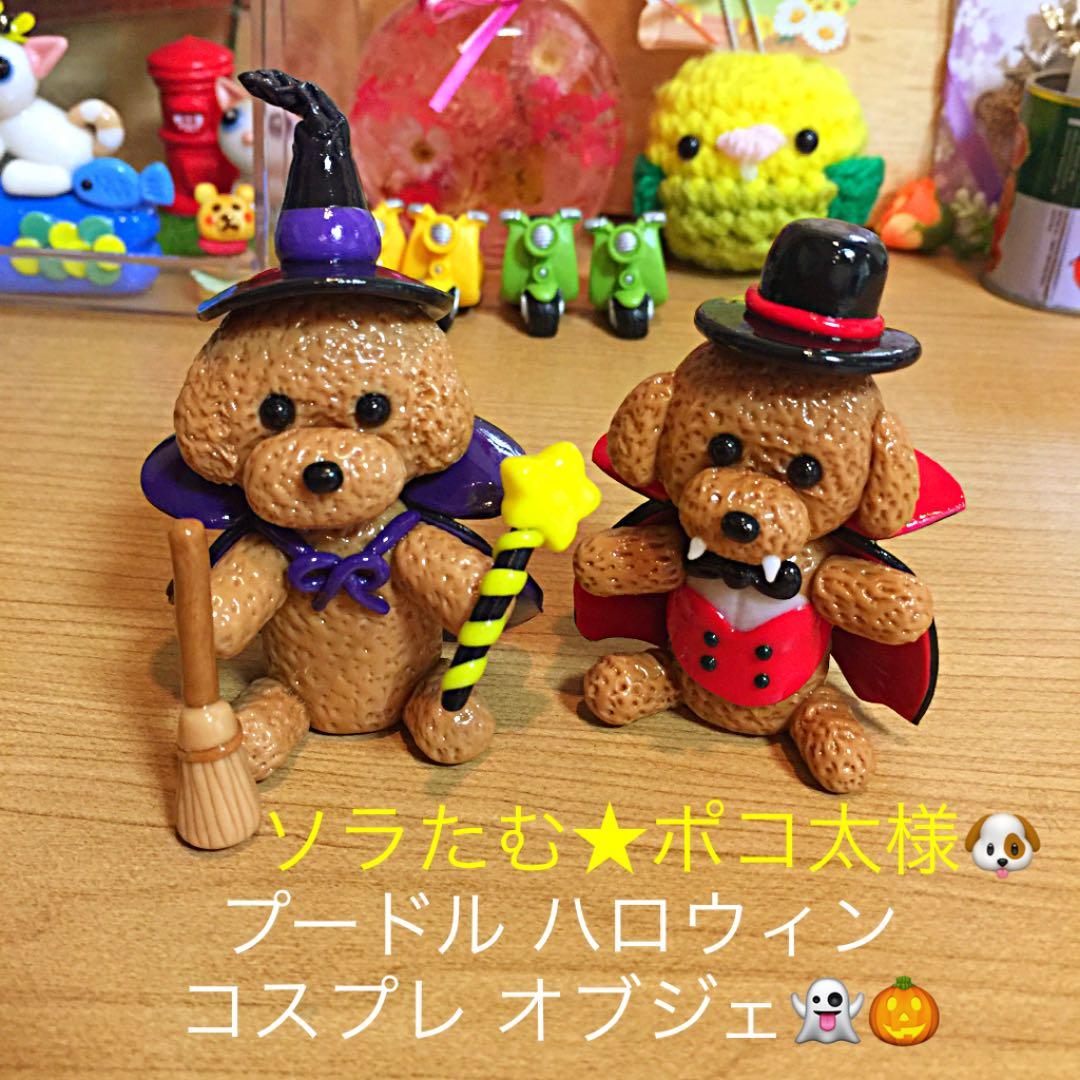 ソラたむ★ポコ太様❤ プードル ハロウィン 紅葉 オブジェ♡