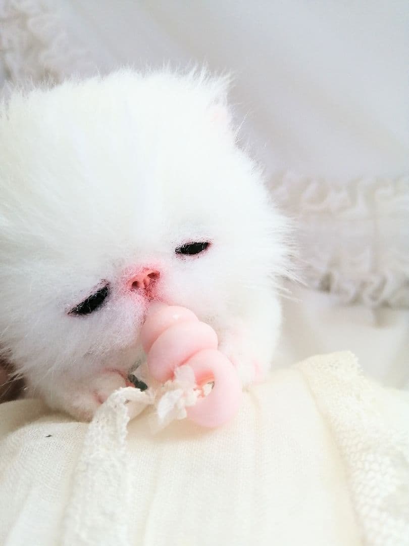 とも様❤️御予約♡おしゃぶり♡お腹ぽっこり子猫ちゃん♡アートドール♡ぬいぐるみ♡