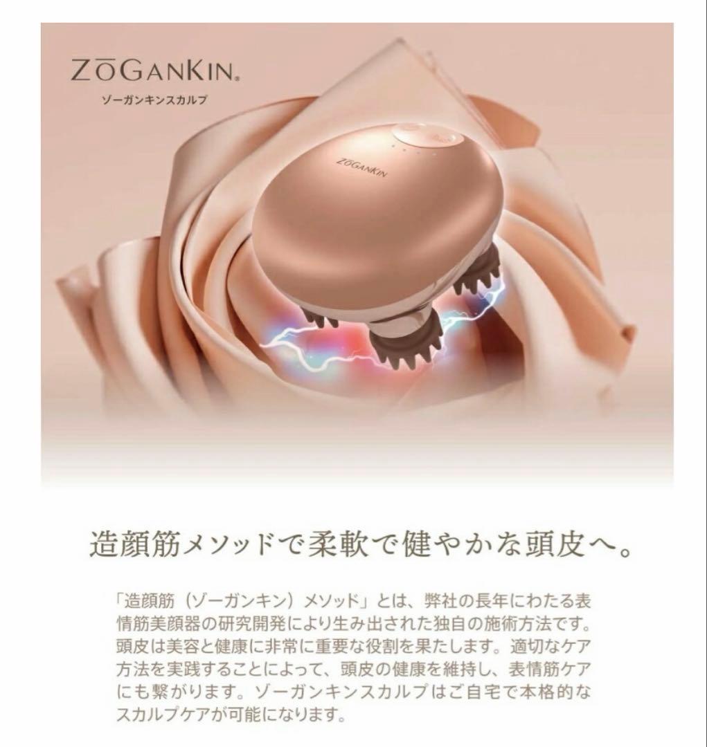 ⭐︎中古⭐︎ゾーガンキンスカルプ　ヘッド、ボディ美容器