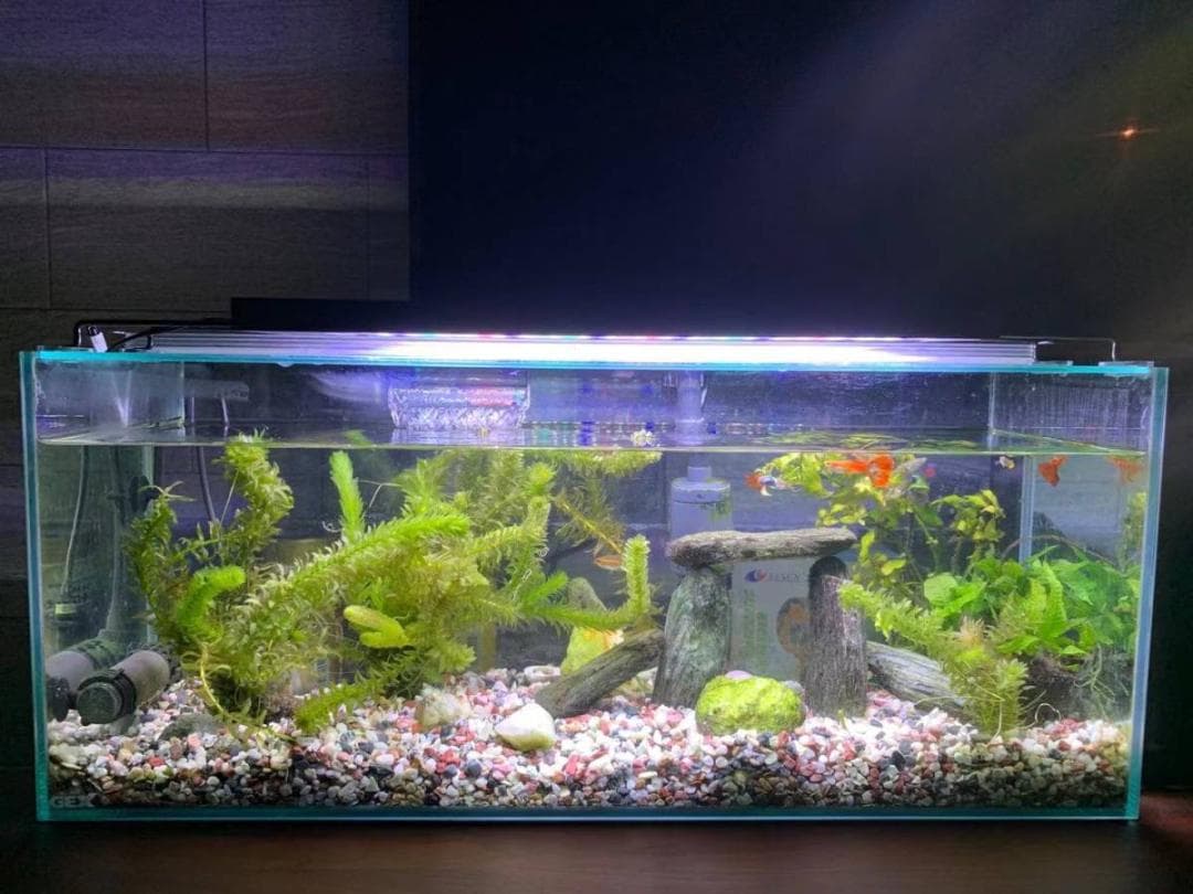 SUNSET　LED水槽アクアリウムライト 45～60cmと30～45cm