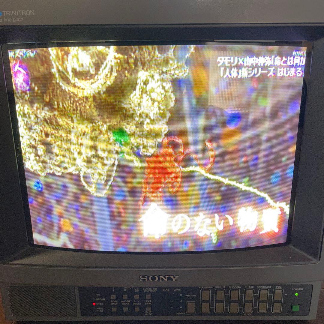 SONYトリニトロンカラービデオモニター PVM-1444Q【映像音声テスト済】