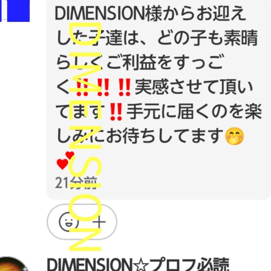 極美希少❇龍神ξ白龍神の功徳❀金財運❀精神安定❀健康運❀置物