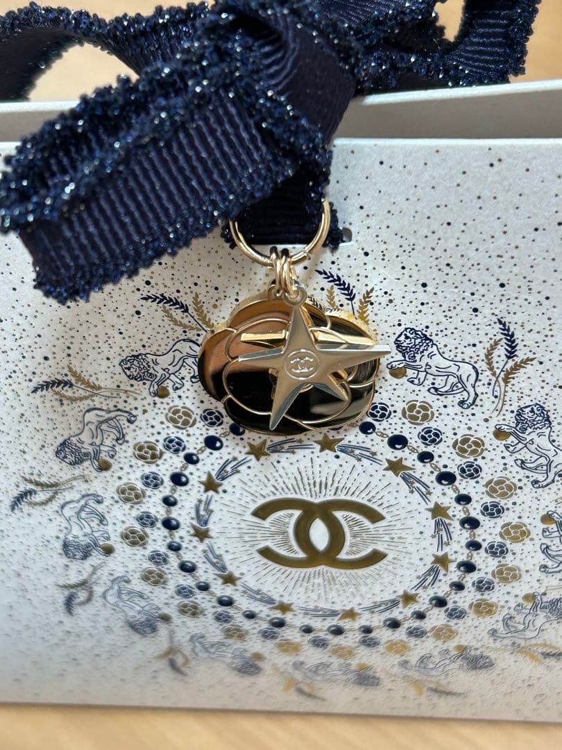専用シャネル　ネイル2本　巾着