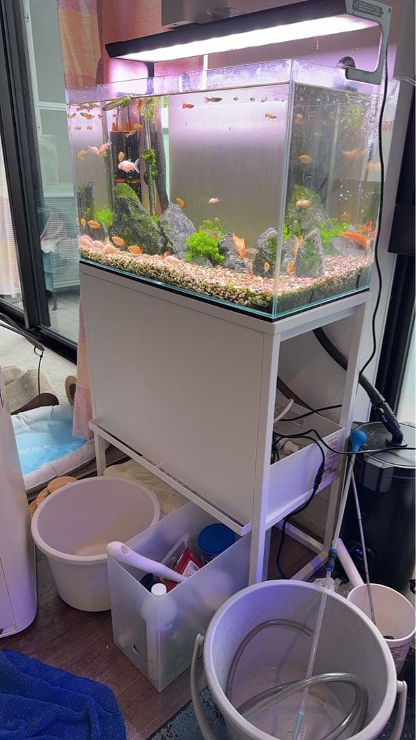 山崎実業 tower 水槽ラック水槽台 ホワイト 美品