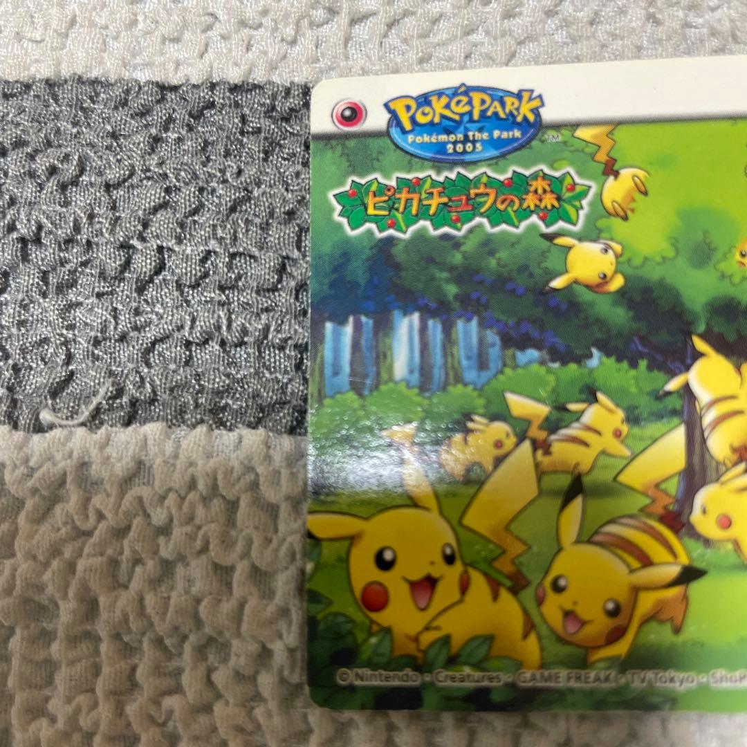 ポケモン ポケパーク ピカチュウの森 カードダス