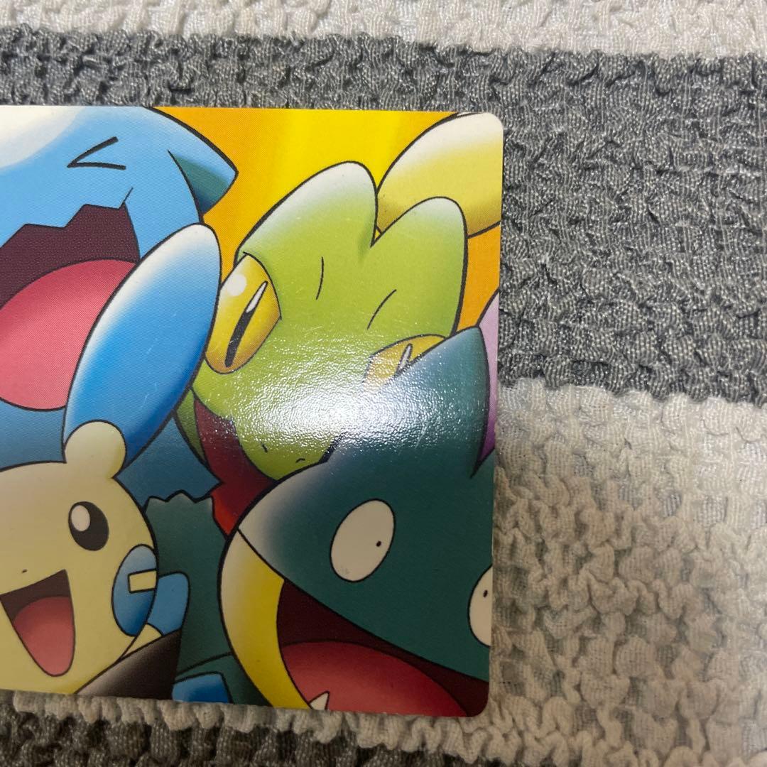 ポケモン ポケパーク ピカチュウの森 カードダス