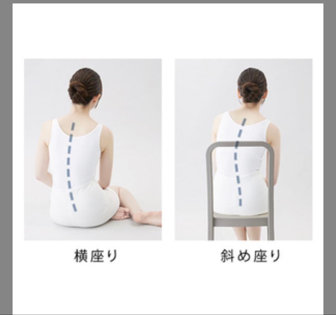 新品未使用　スタイル MTG スタンダードNO1 姿勢矯正 黒