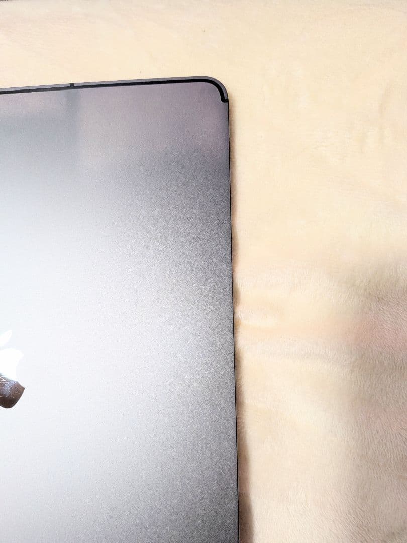 Apple iPadPro12.9 3世代Wi-Fi64GB
