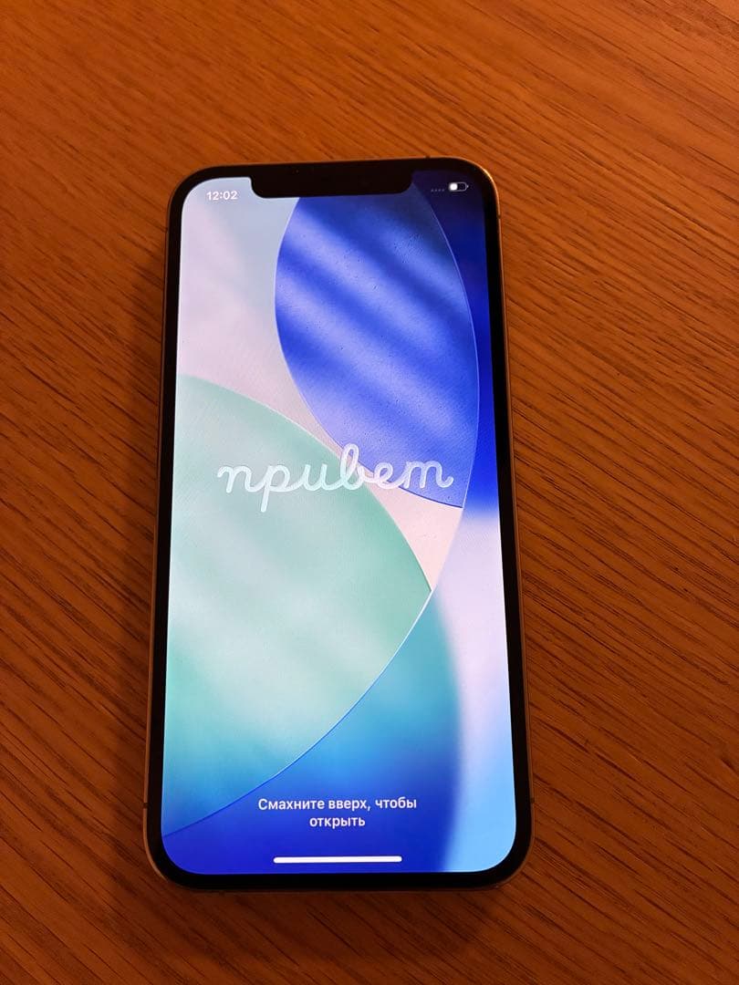 iPhone 12 Pro 256GB ゴールド、充電器イヤフォン付き