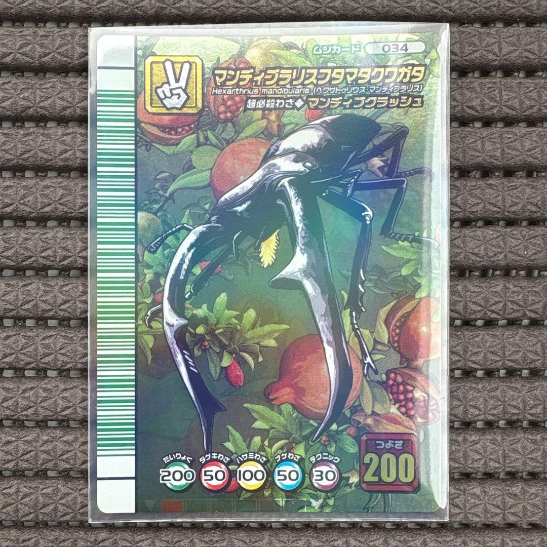 希少 美品 マンディブラリスフタマタクワガタ 5周年 緑バーコード ムシキング