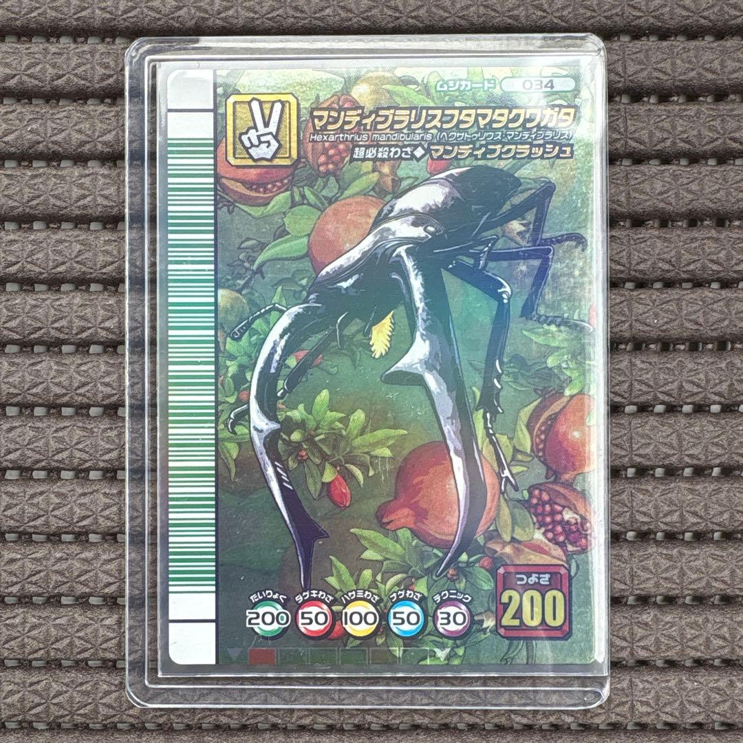 希少 美品 マンディブラリスフタマタクワガタ 5周年 緑バーコード ムシキング