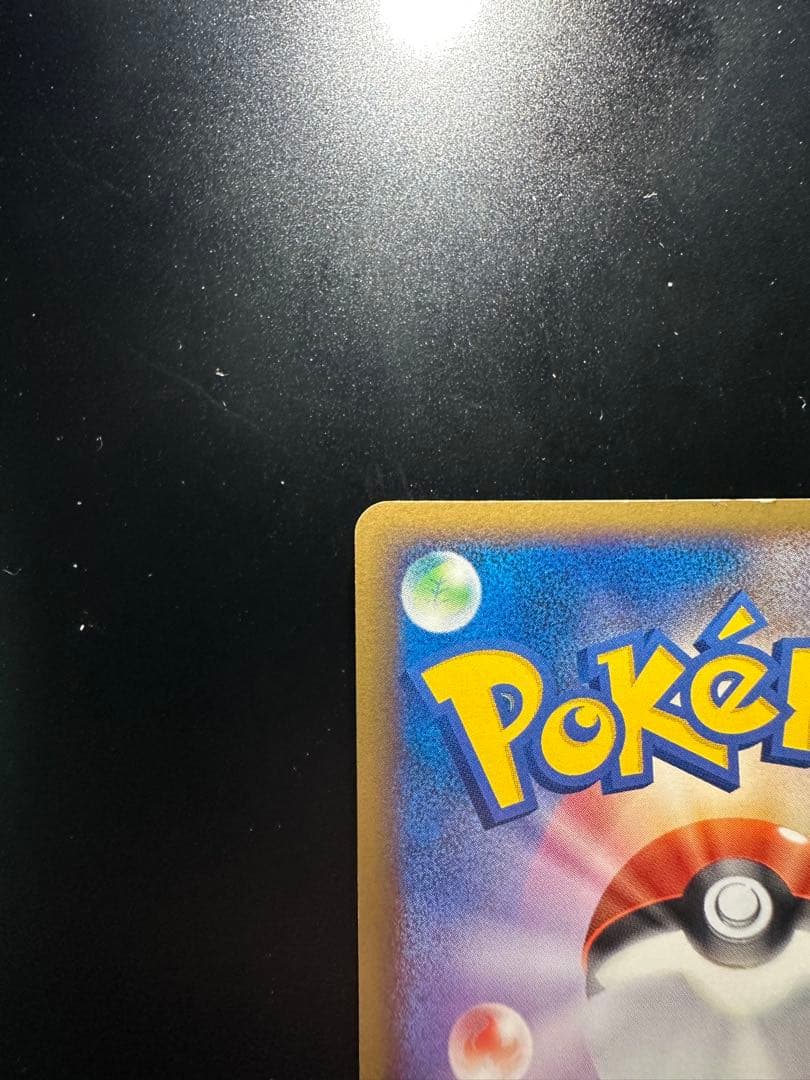 ポケパークのピカチュウ　プレミアムファイル