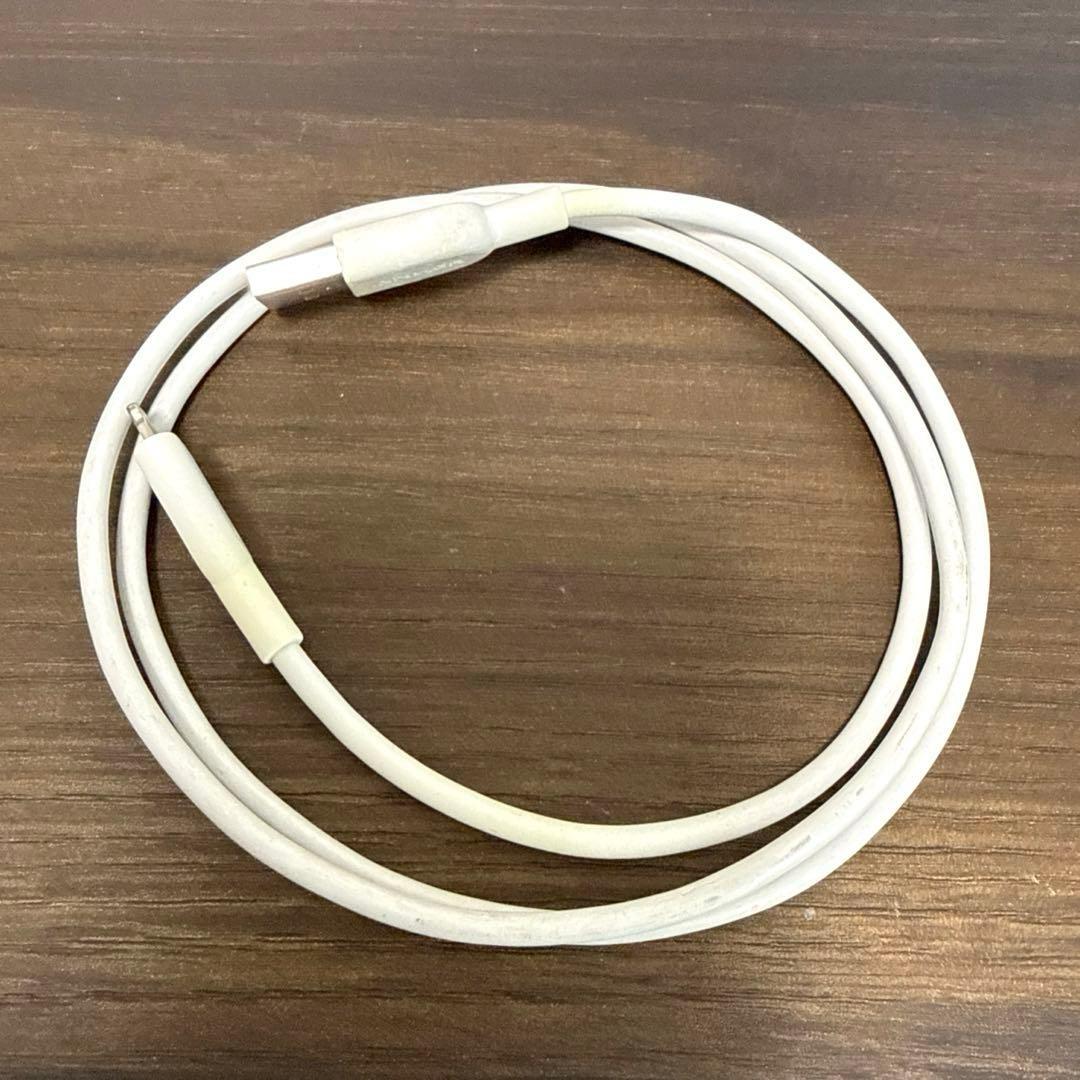 正規品 Apple AirPods Pro 第1世代　ライトニングケーブル付き