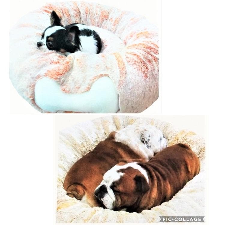 とろけるベッド Lサイズ ラビットファー 犬 猫 AN39 40 41 42