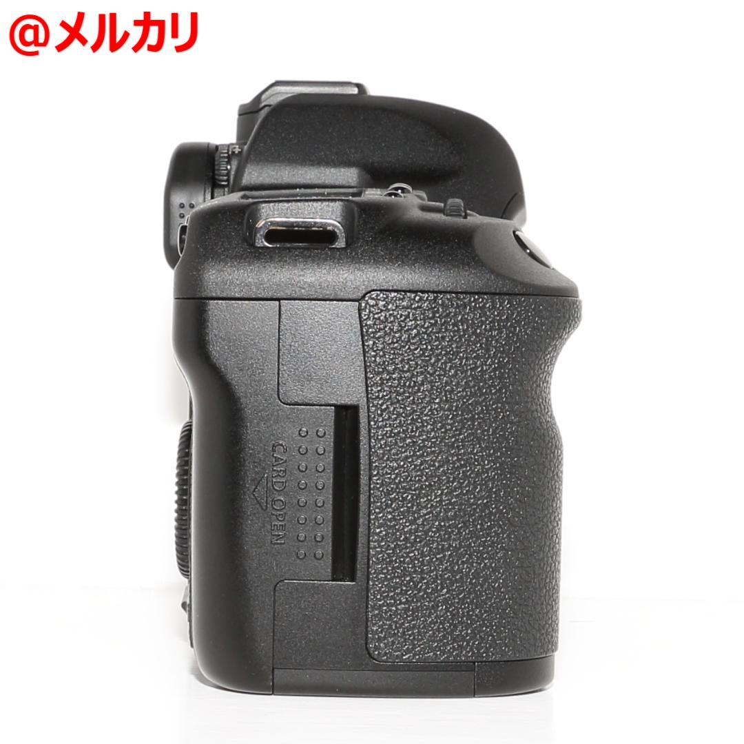 CANON EOS 5D Mark Ⅱ ボディ 一眼レフカメラ