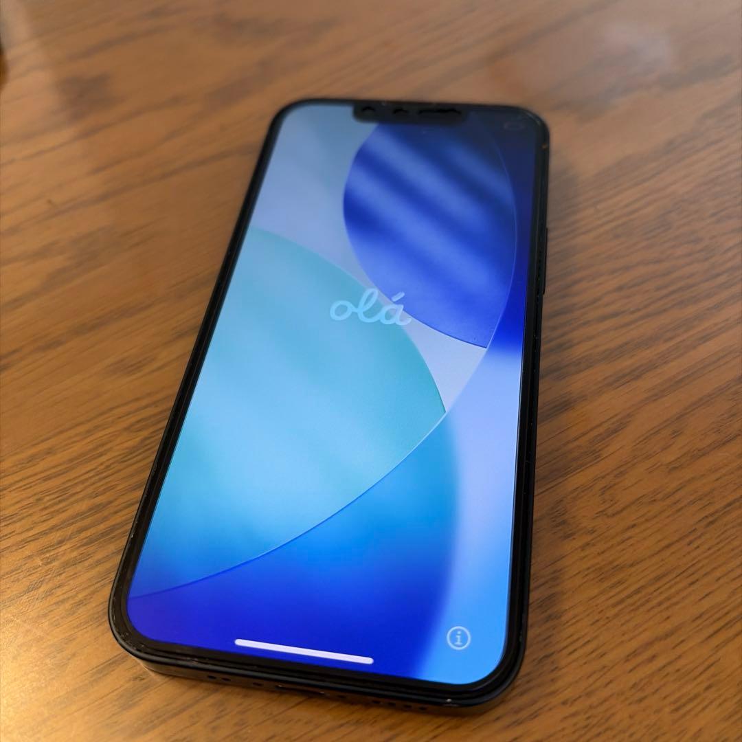 Apple iPhone 13 mini 箱ケース充電ケーブル付き