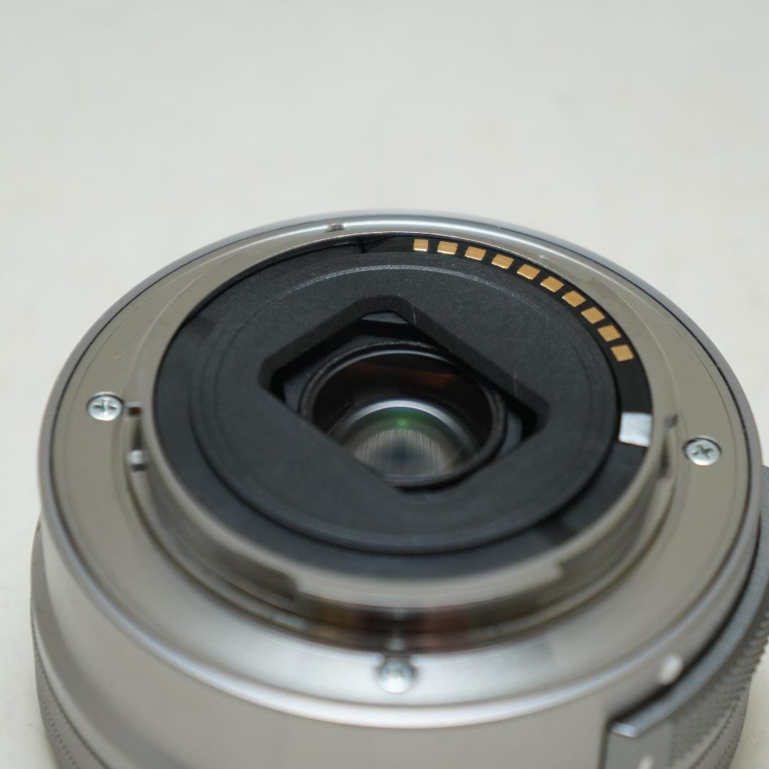 ソニー Eマウント パワーズームレンズ SONY SELP1650