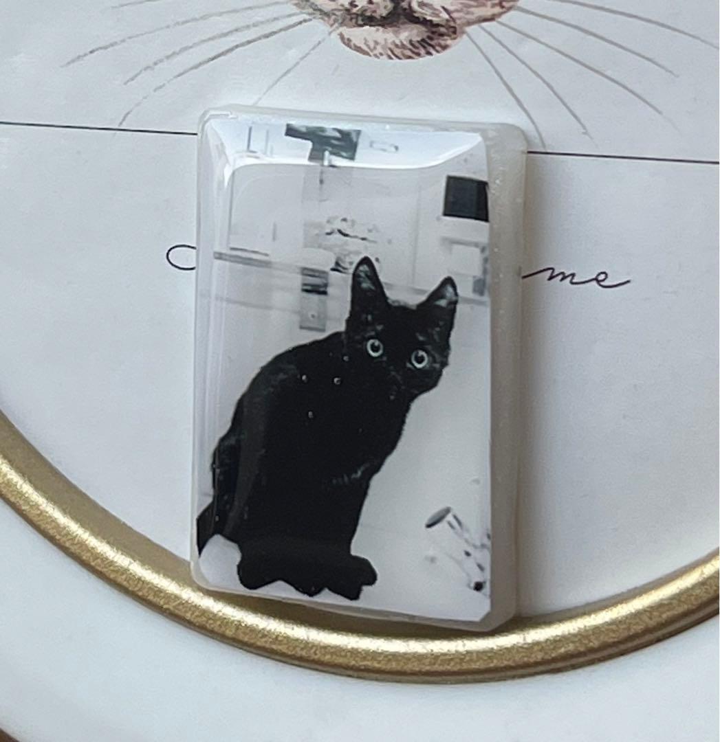 感謝価格(‗- ·̫ -‗^)ꪆ  ❤︎バスルーム猫ちゃんレジンヘアゴム