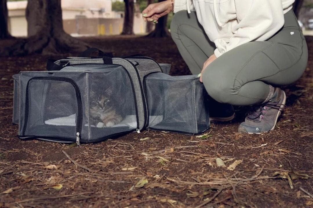 訳あり品 ペティーク ハッピーキャンパー ペットキャリー ストローラー 犬 ねこ