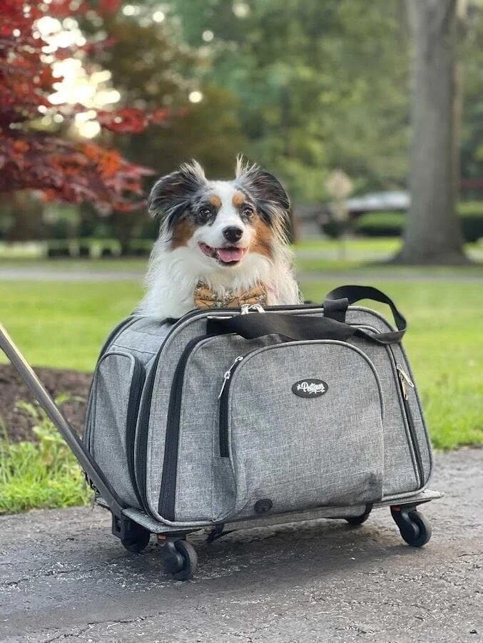 訳あり品 ペティーク ハッピーキャンパー ペットキャリー ストローラー 犬 ねこ