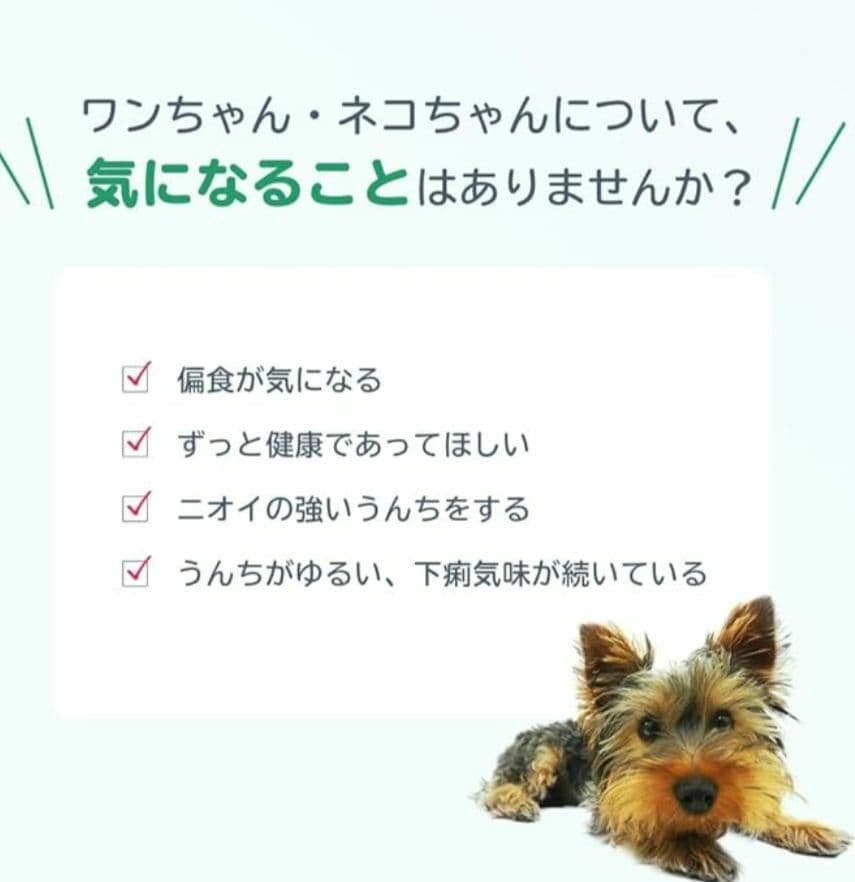 ロイテリ 乳酸菌 犬猫用リキッド Dog&Cat 5mL(約1カ月分) 3箱