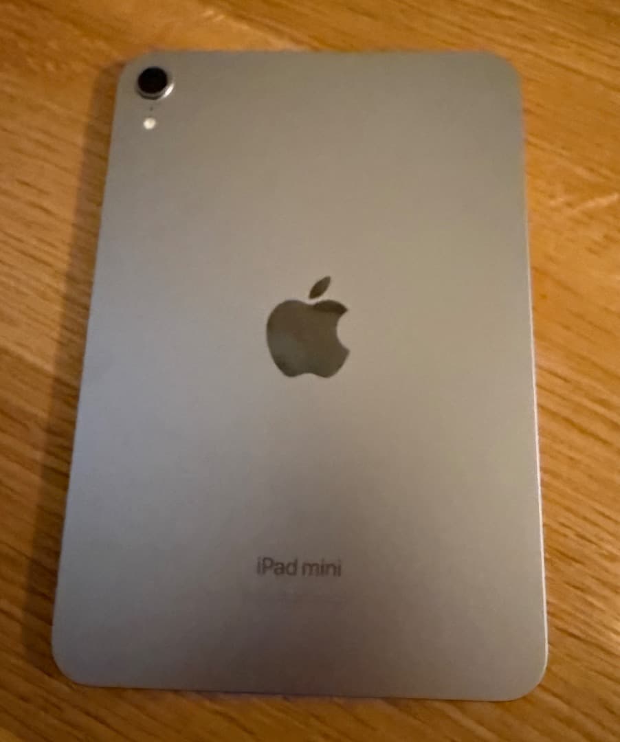 Apple iPad mini (A17 Pro) 256GB スペースグレイ