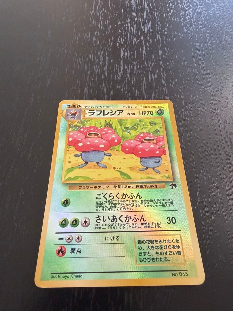 【美品】ラフレシア サザンアイランド 旧裏