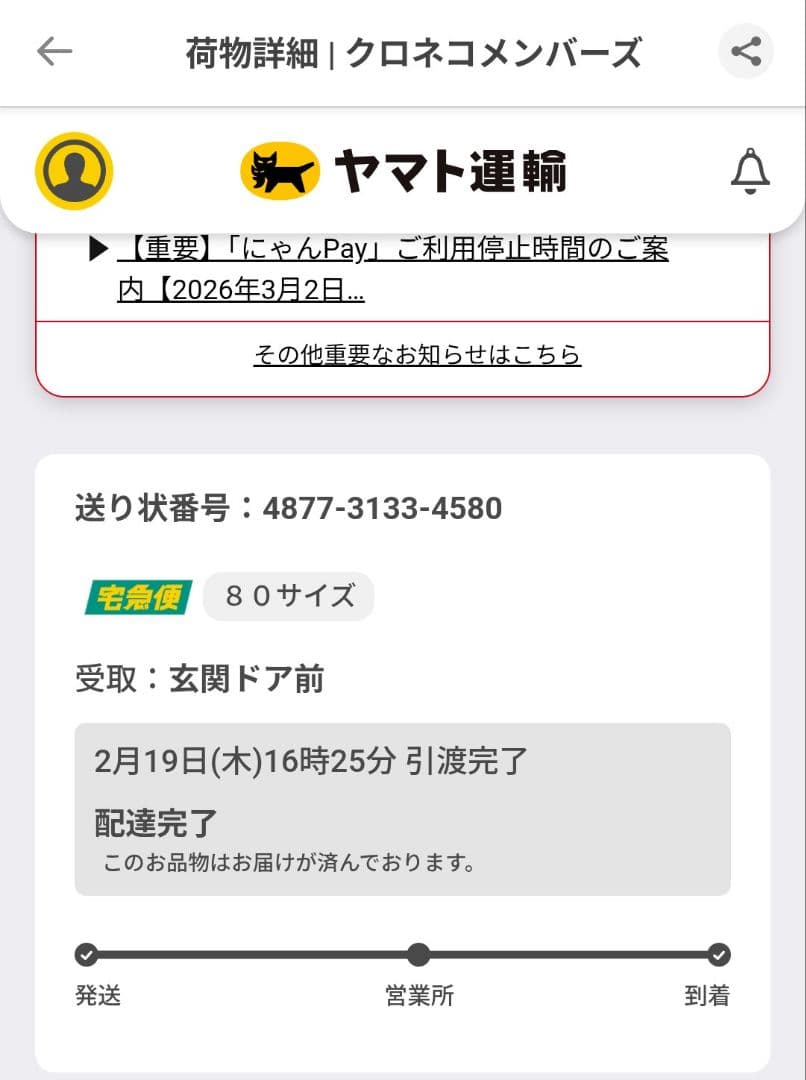 アルゲマリン　パフューム　24本